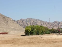 Bilder Ägypten-096